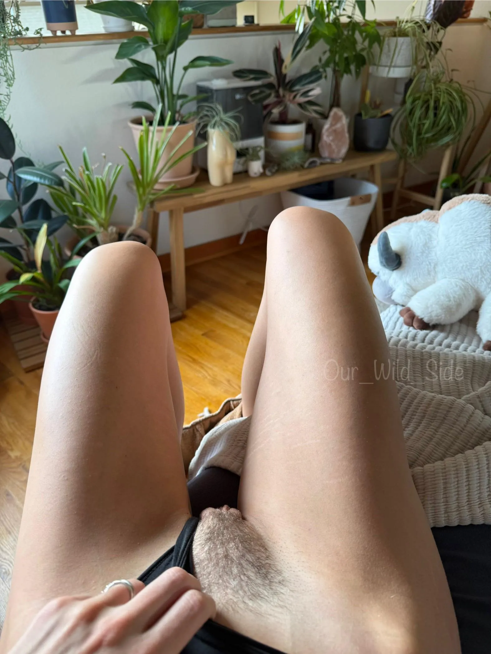 Waking up to this every day 🪴