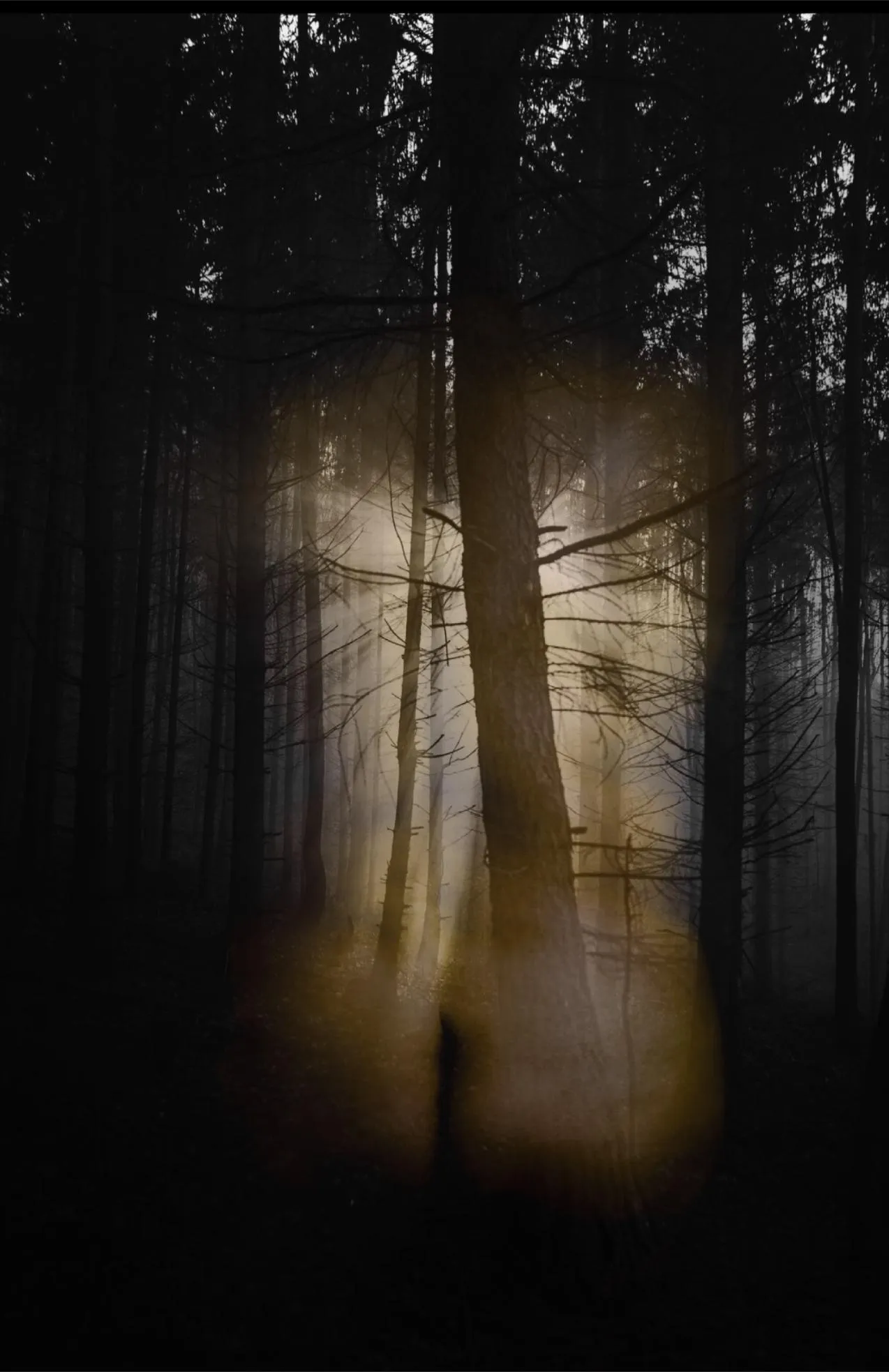 The Bareable Lightness of Being