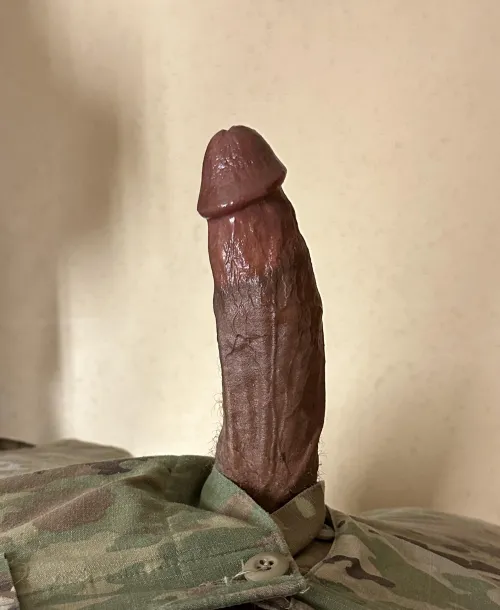 BBC Germany 🇩🇪