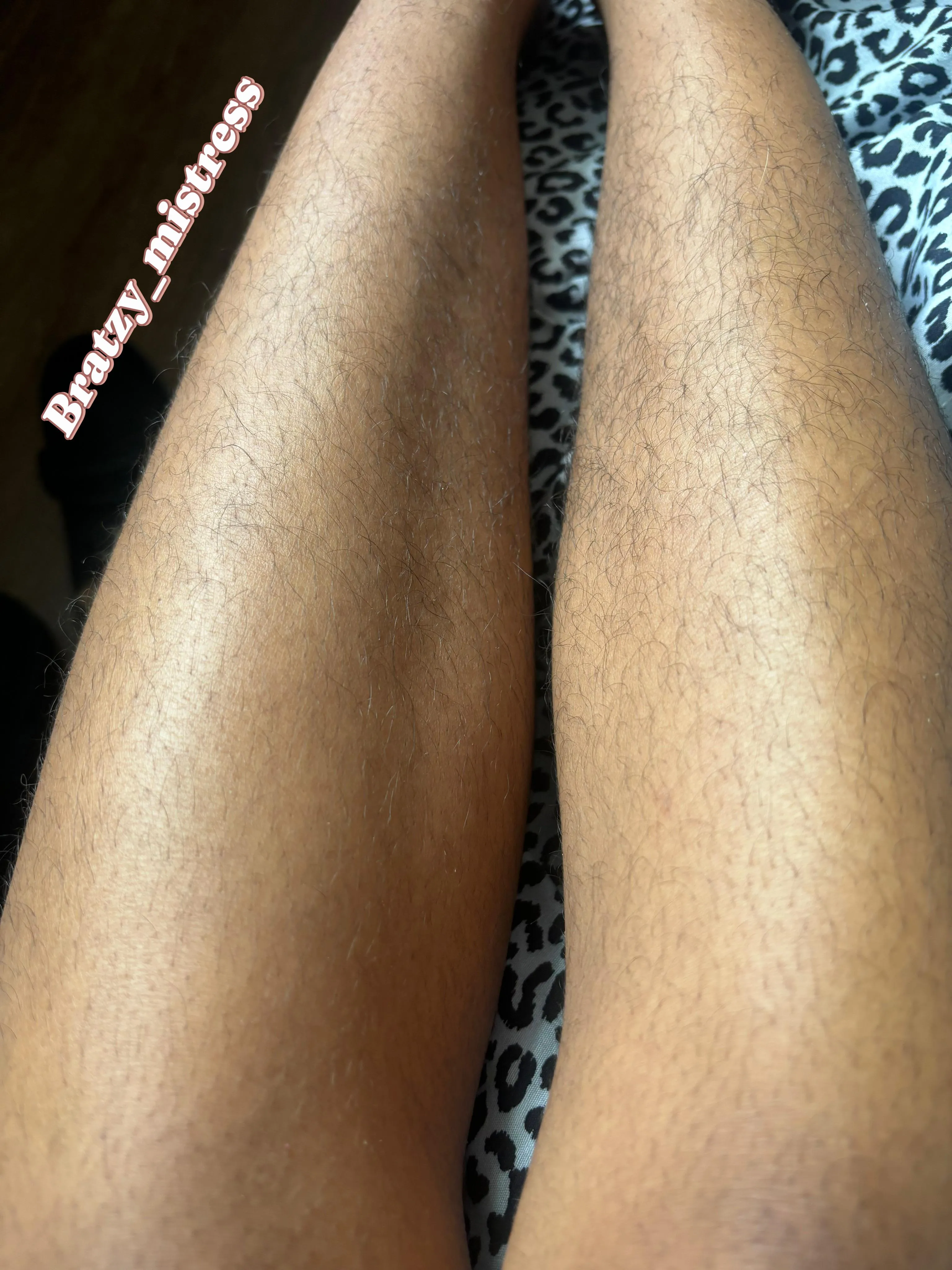 Come be my leg brush