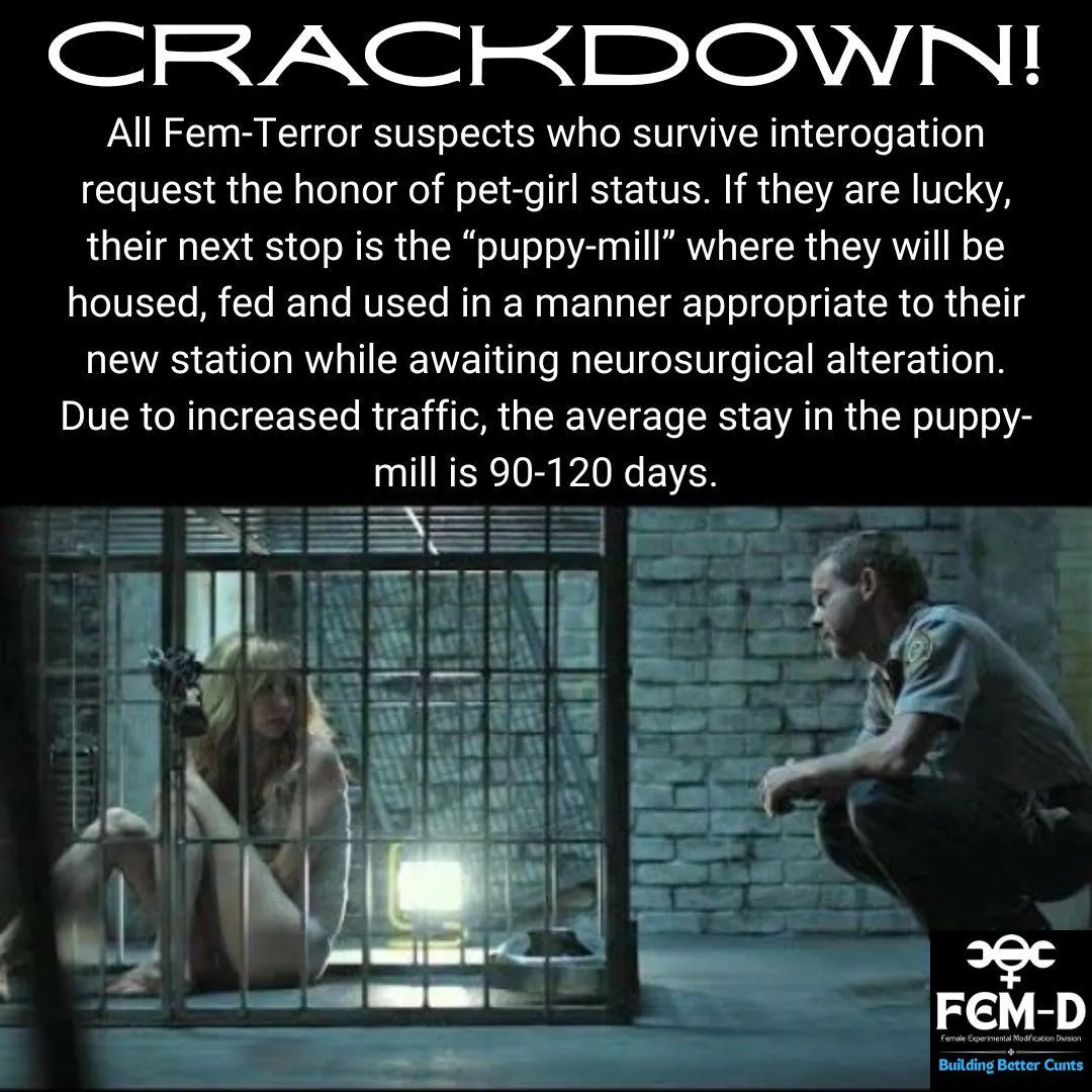 FEM-D Assists DFA in Cunt-Terror Crackdown (4)