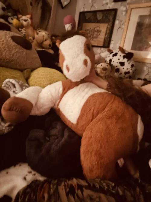 Getting inside that submissive mare yee teee hawww lets get it bi&cħ