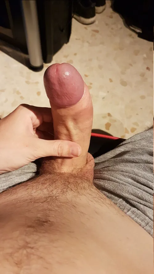 Just  randomly morning wood...