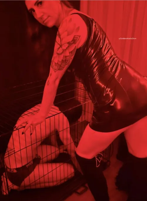 First caging went well as you can see:)