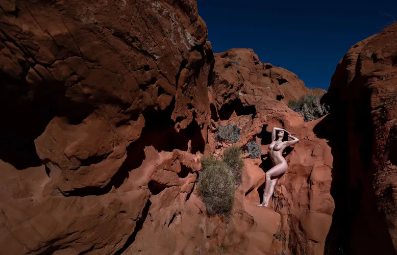 If I flew you out to the desert, would you shoot with me?