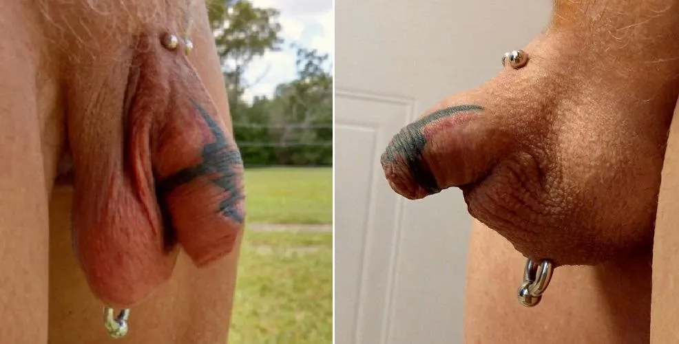 Summer dick vs winter dick. Which is better