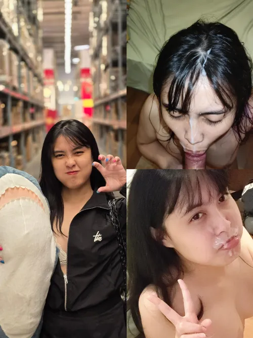 This shark won't bite!