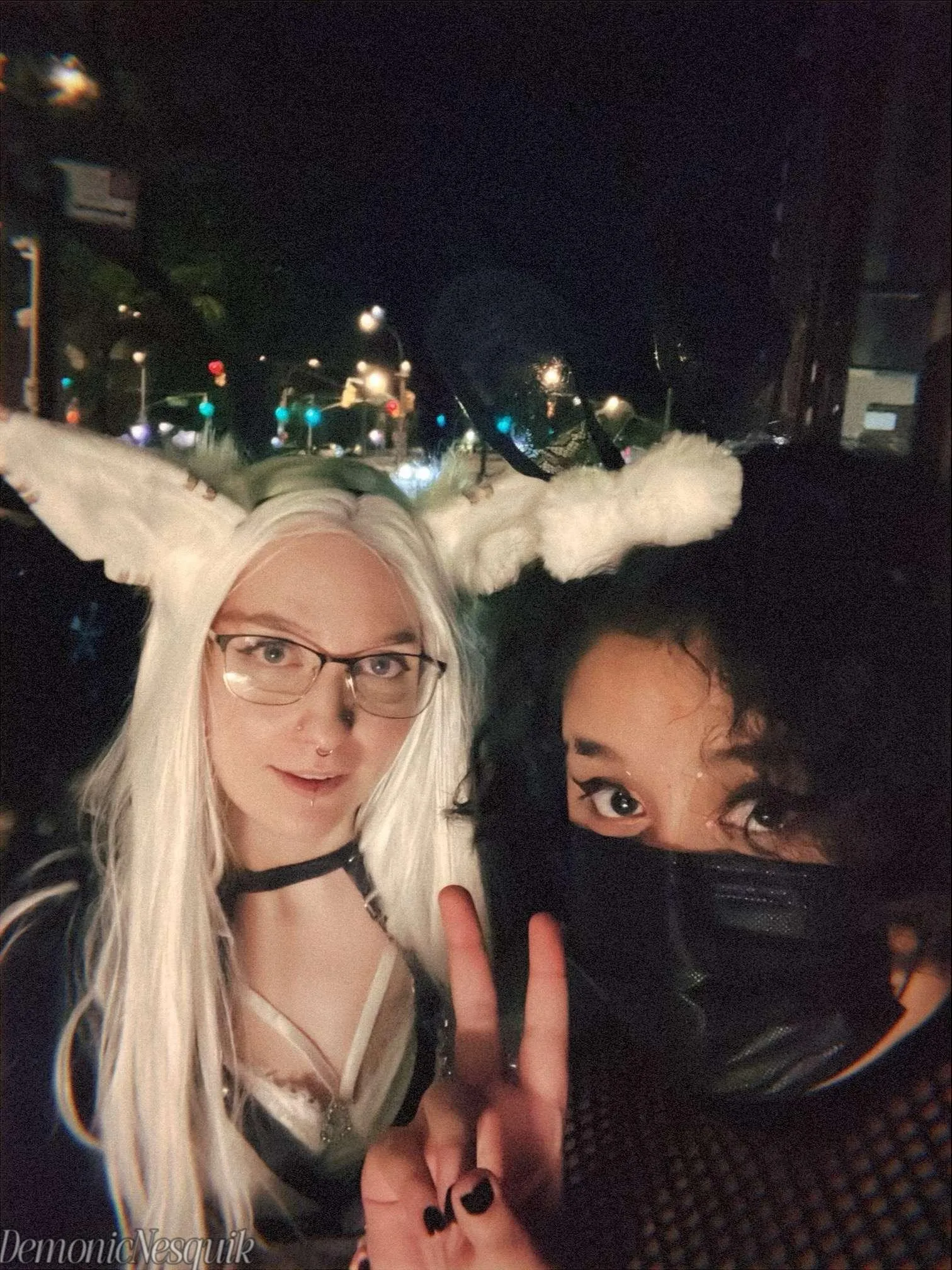 What would you train these bunnies to do?