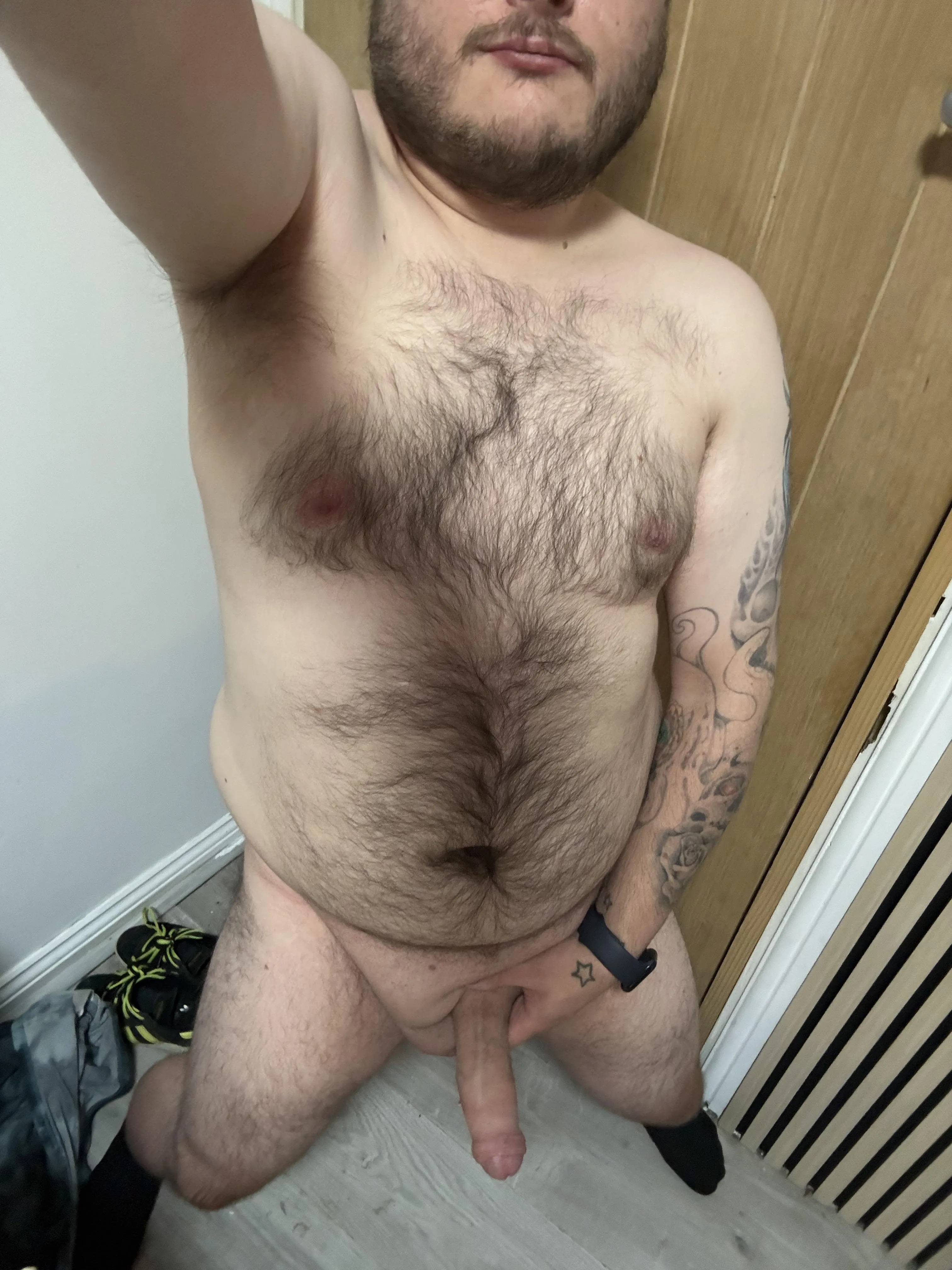 Any ladies want to take a big hairy guys virginity?