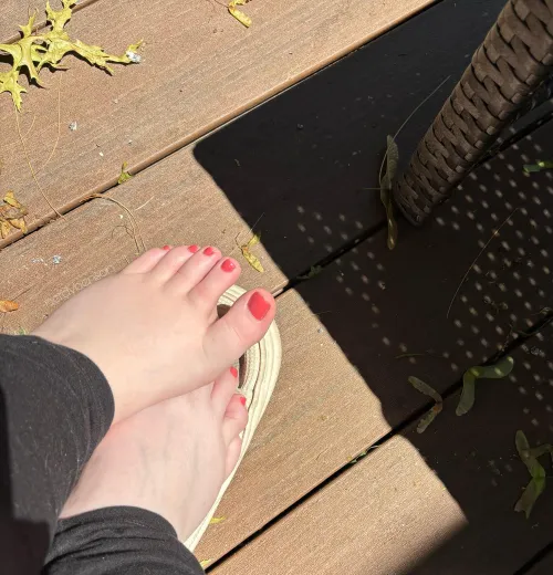 I want to put my toes in your mouth