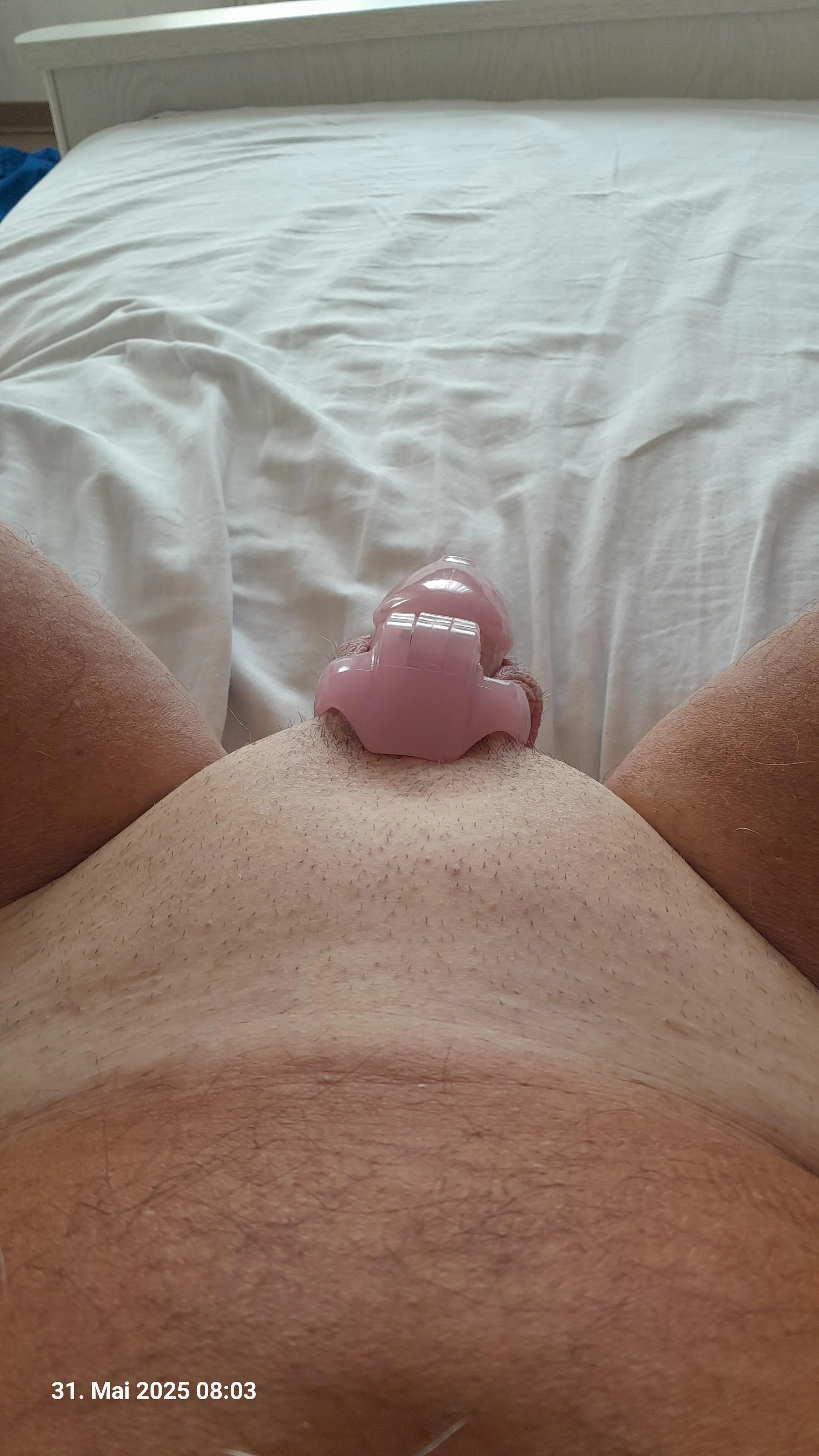 Ich bin jetzt zwei Tage im Cage verschlossen und fühle mich gut!