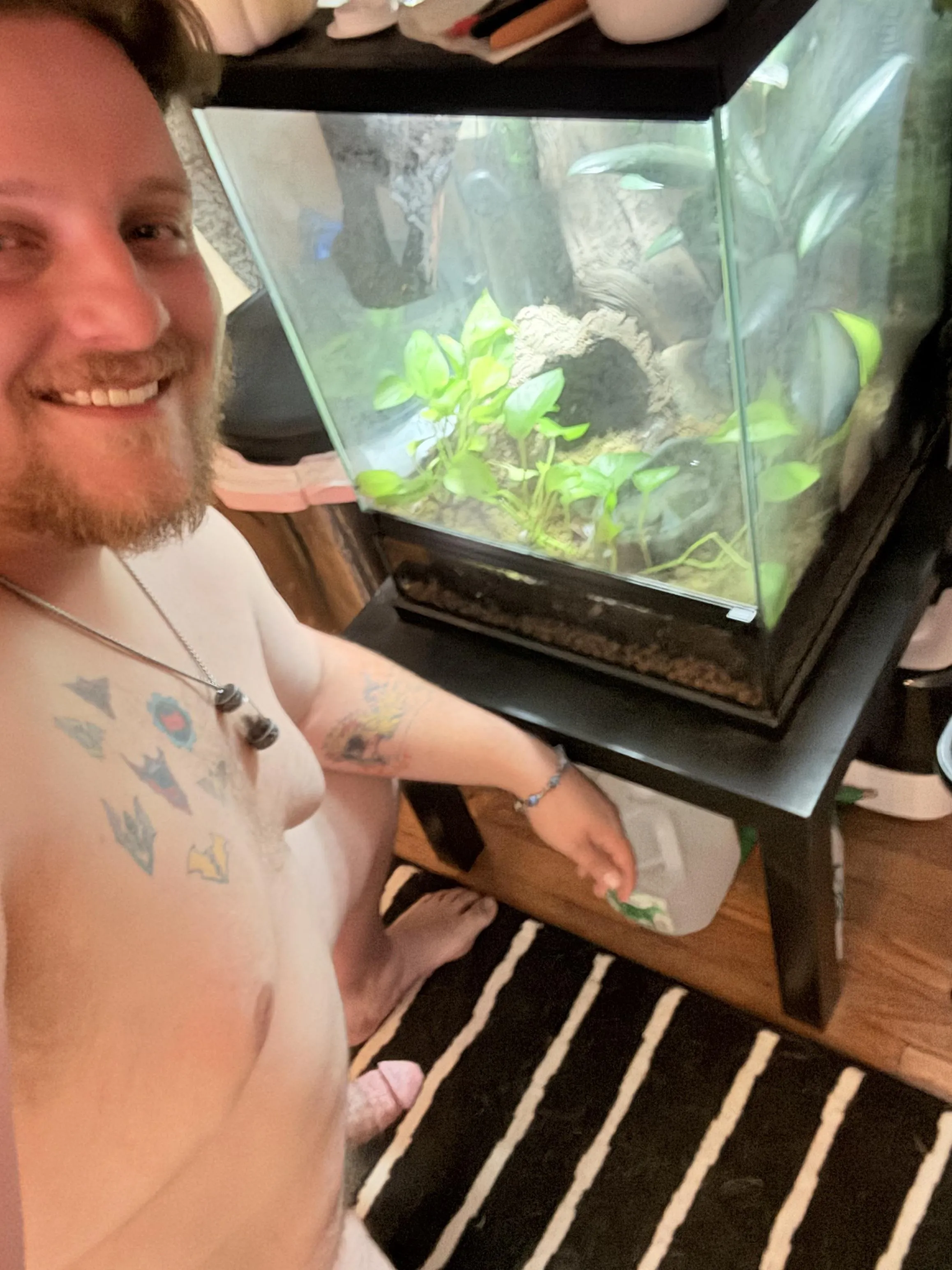 Just checking on the Vivarium! 🌱🍃🌳