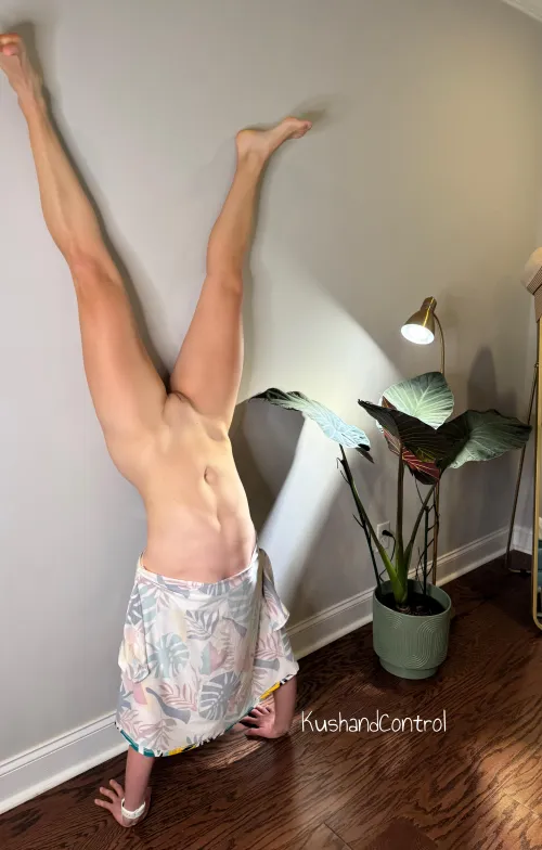 Just trying to keep up with my Alocasia 🌱