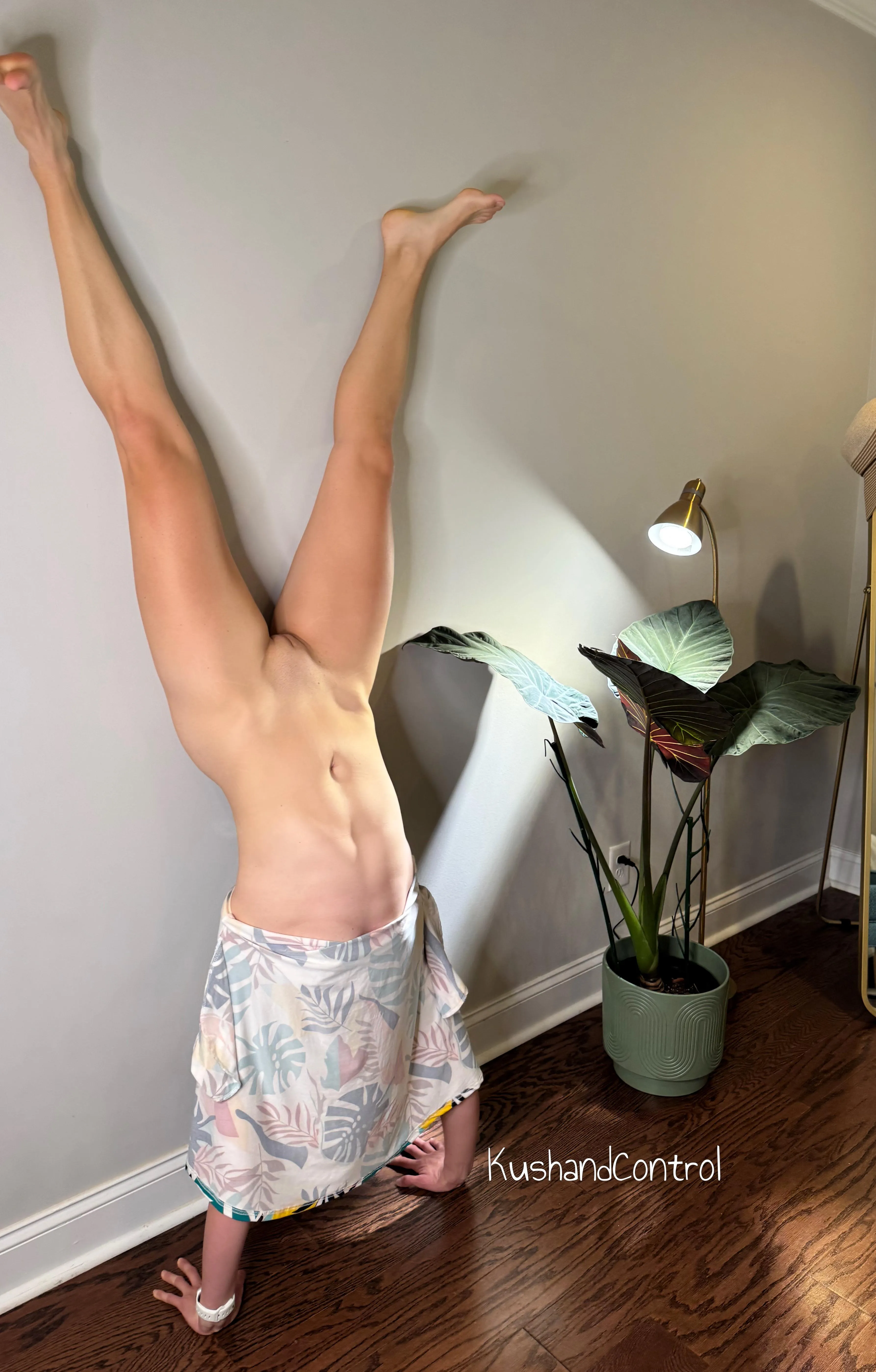 Just trying to keep up with my Alocasia 🌱