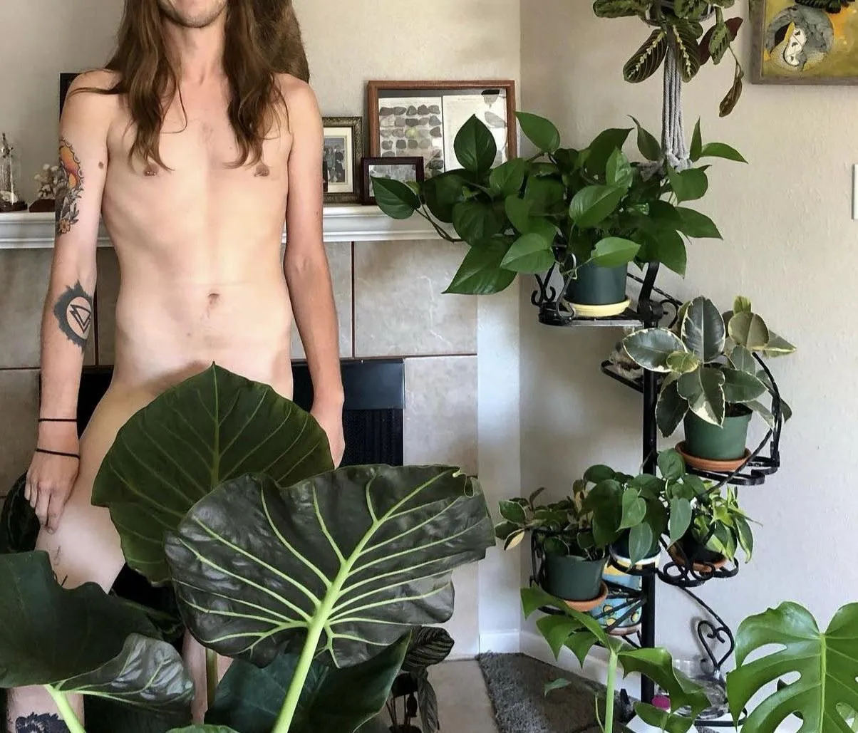 Old but gold? I kinda miss not being covered in tattoos and this alocasia that was brutally murdered 🙃