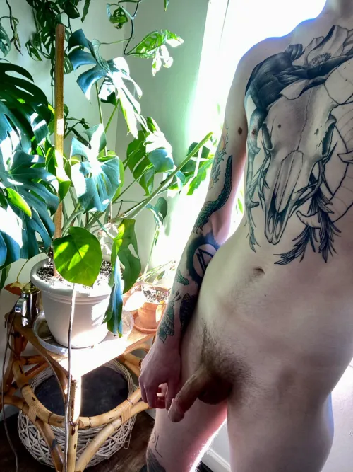 Plant corners are a must👀