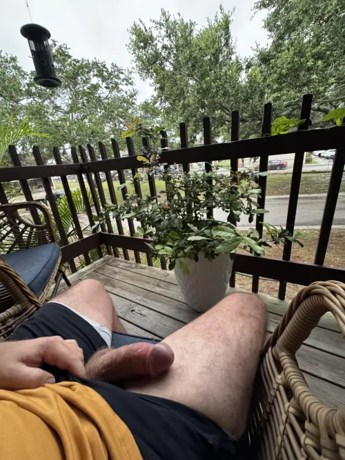 Won’t you be my neighbor?