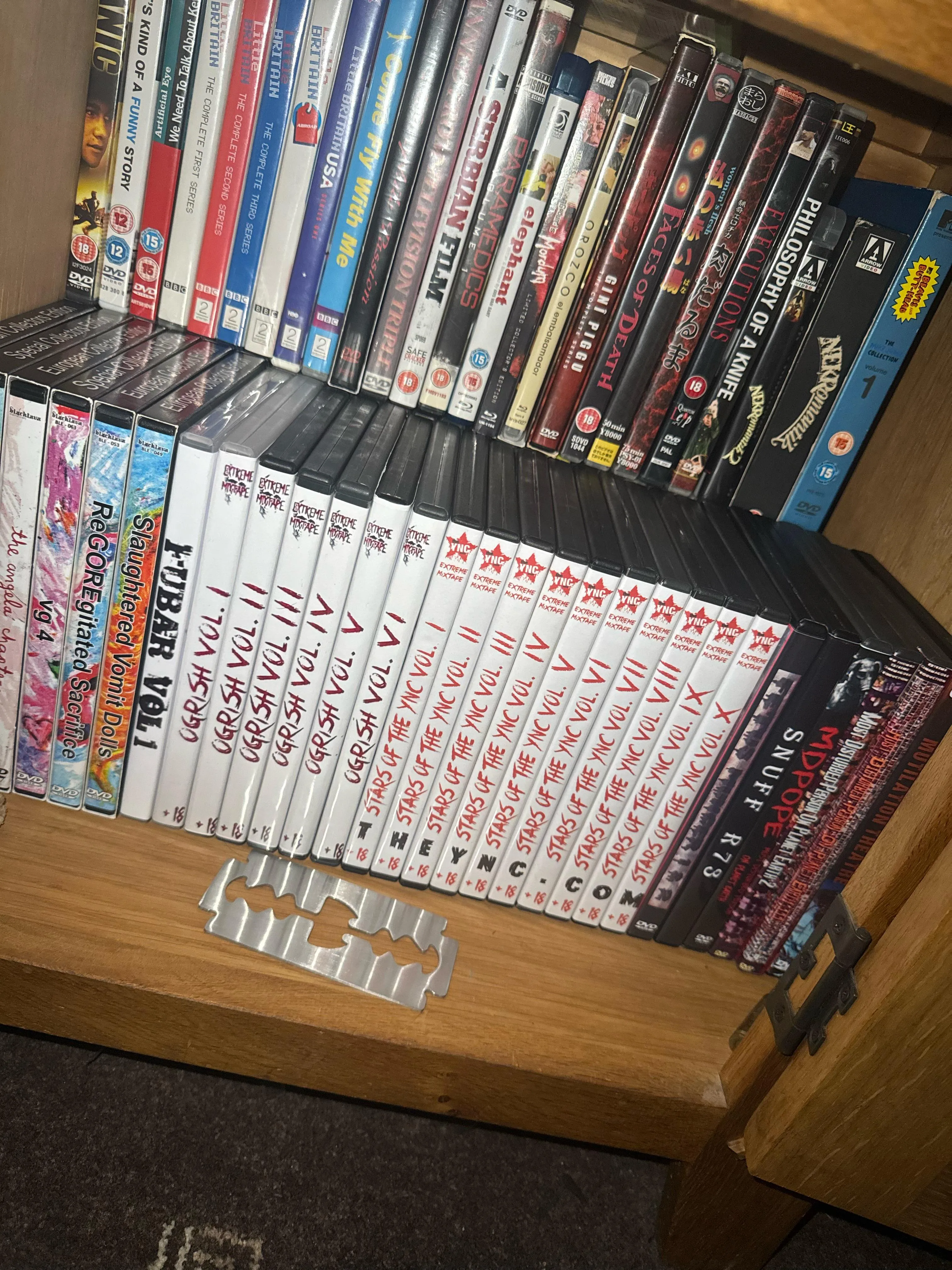 New addition stars of the ync