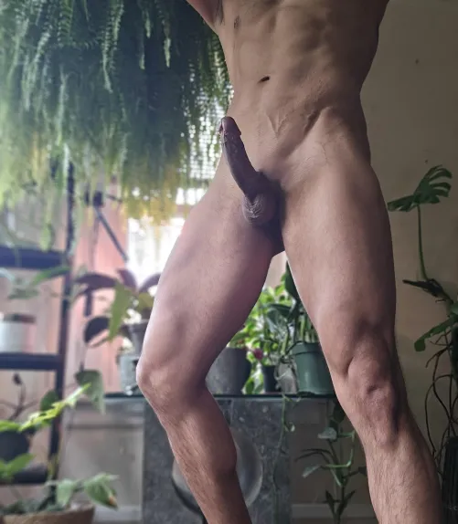 My plants aren't the only thing growing