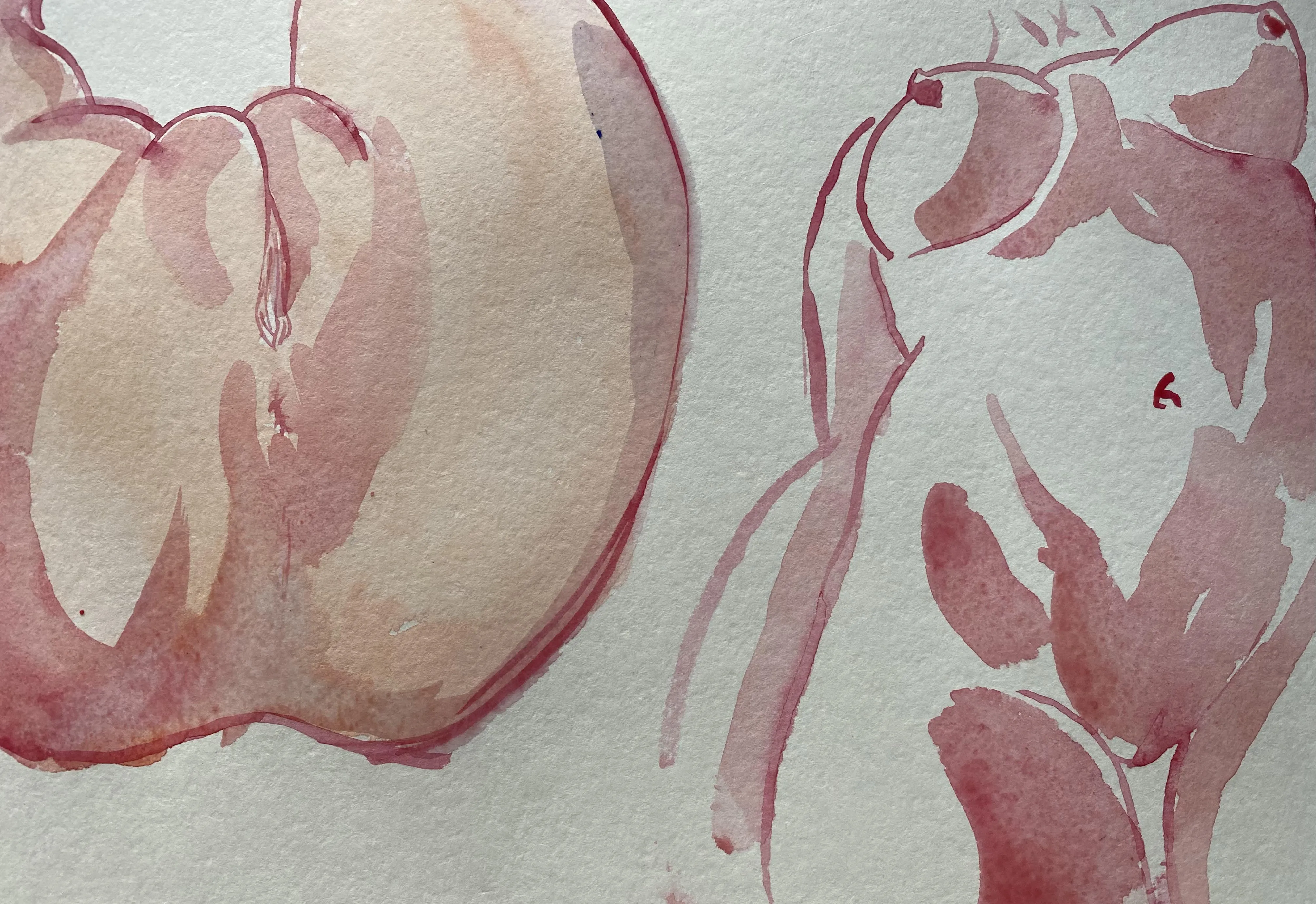 Sketches in peach and crimson, watercolor