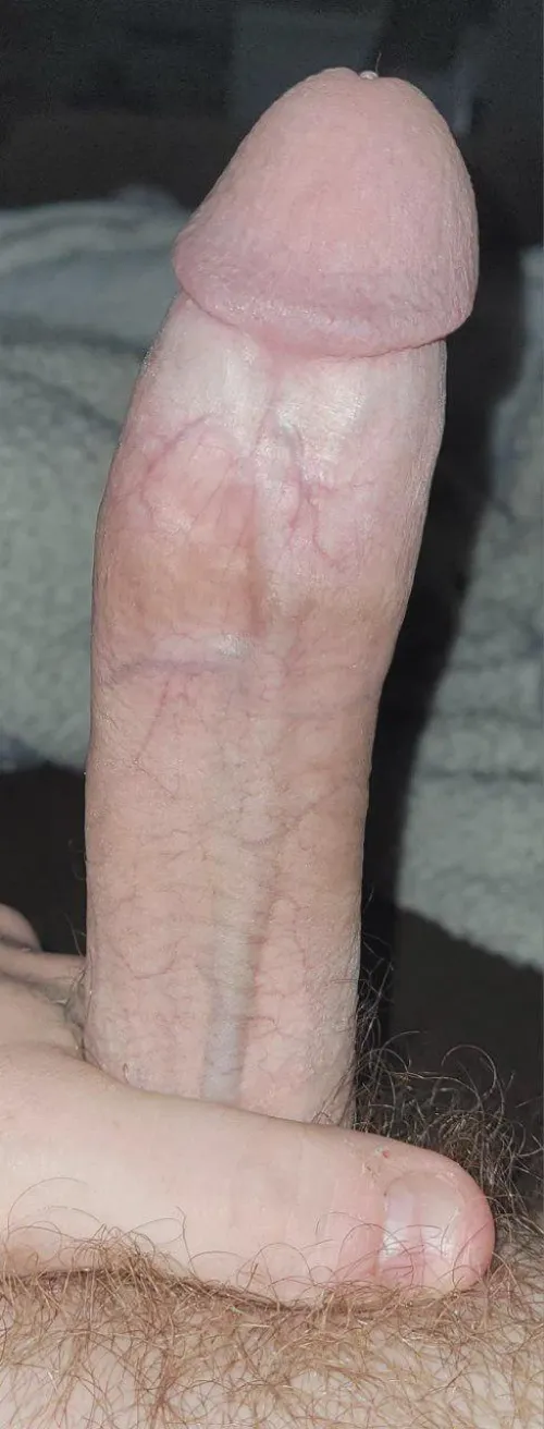 The weekend is here! Let's have at it! (31M)