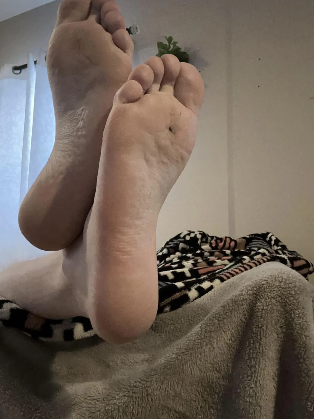 Good morning. Would anyone like to clean my feet for me before I shower?