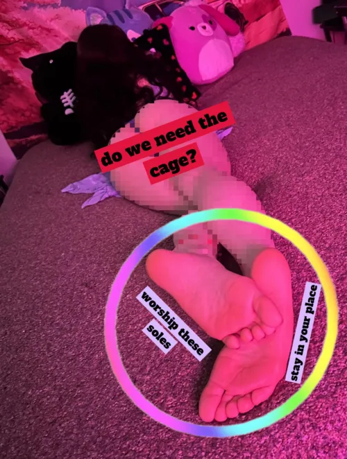 no wandering eyes, good betas know their place and stay in it.