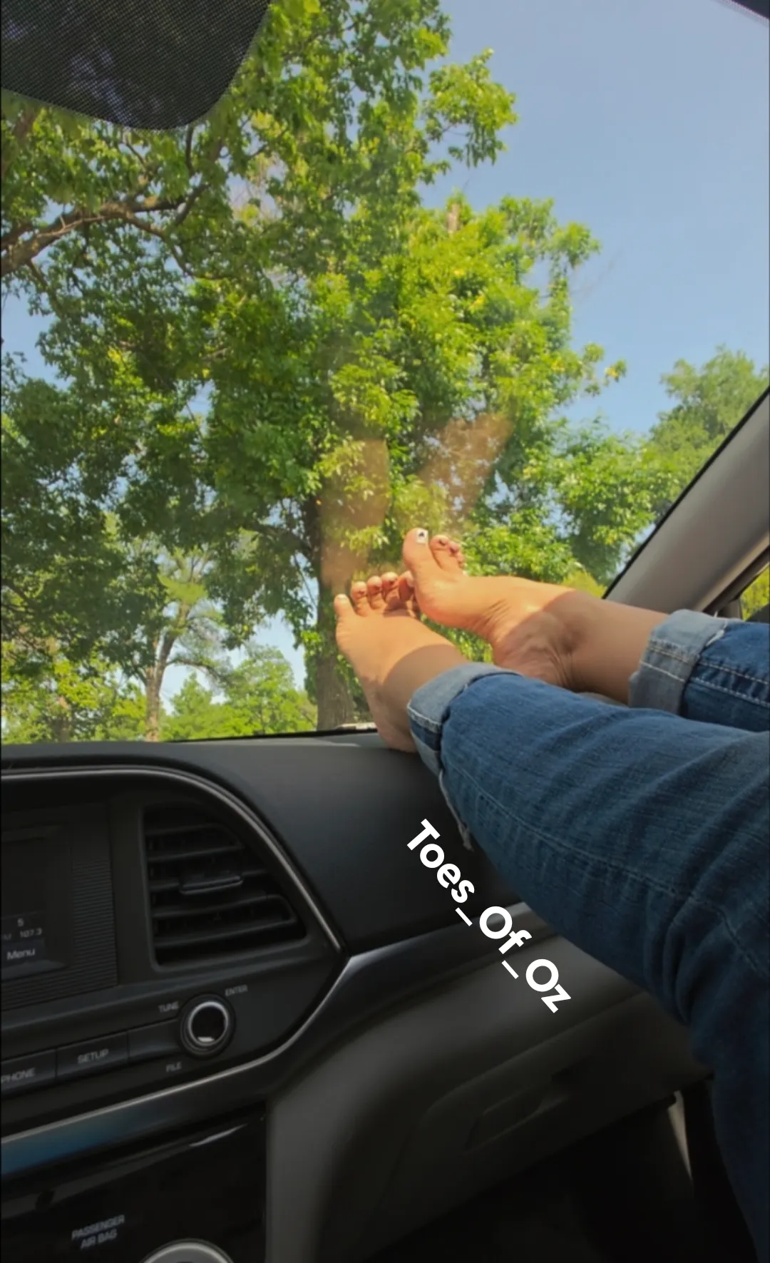 Passenger Princess with the Arches