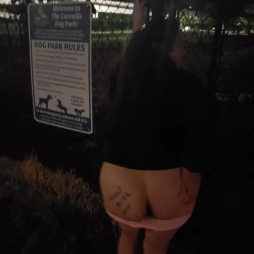 Spreading my holes at the dog park 🐕🐾