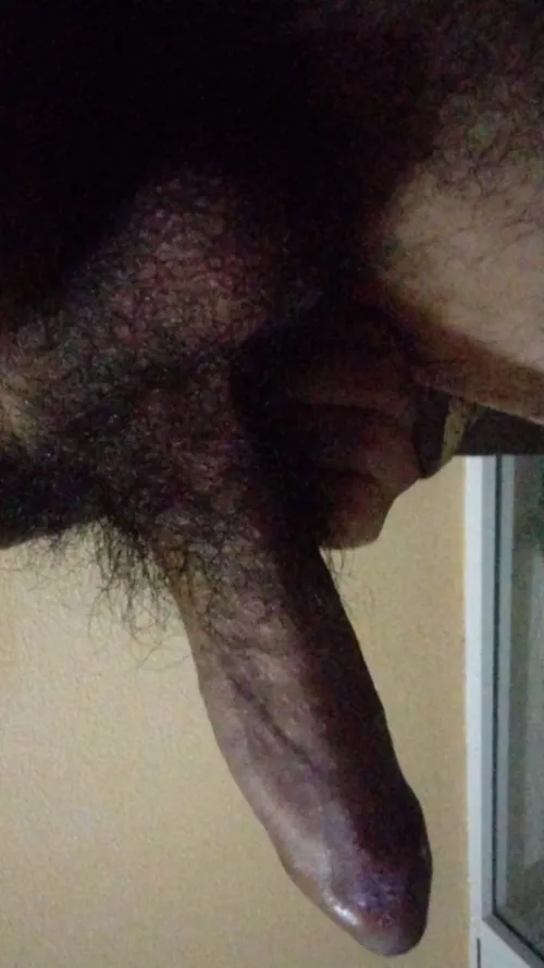 Who likes the brunette?