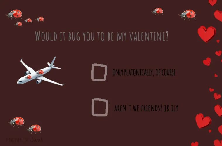 A love bug valentine🐞❤️