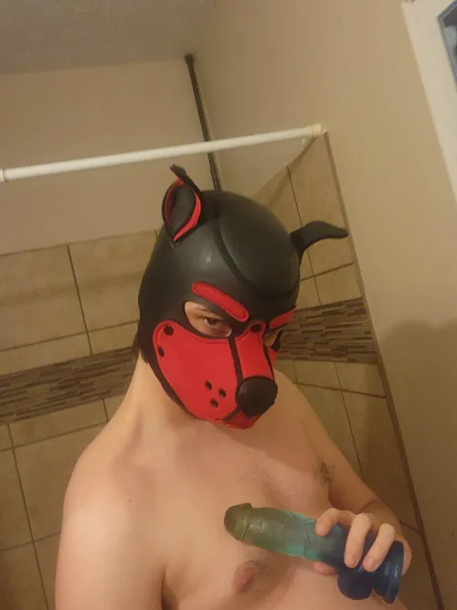 Can I interest you in a show 😈