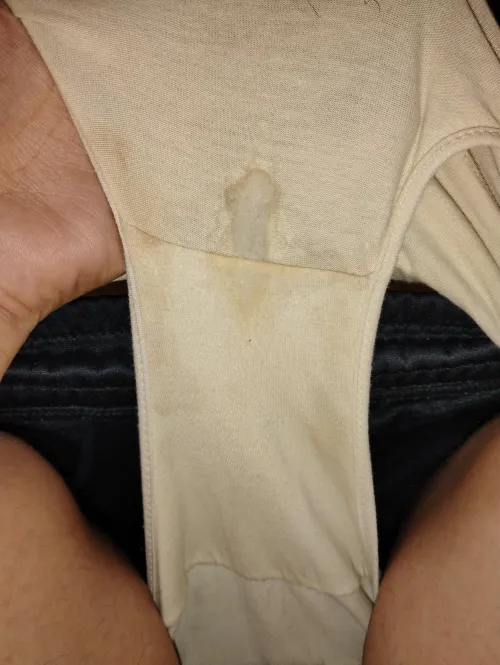 Creamy cotton panties