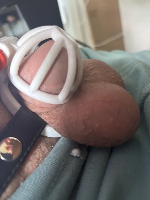 Denke der Cage ist zu groß