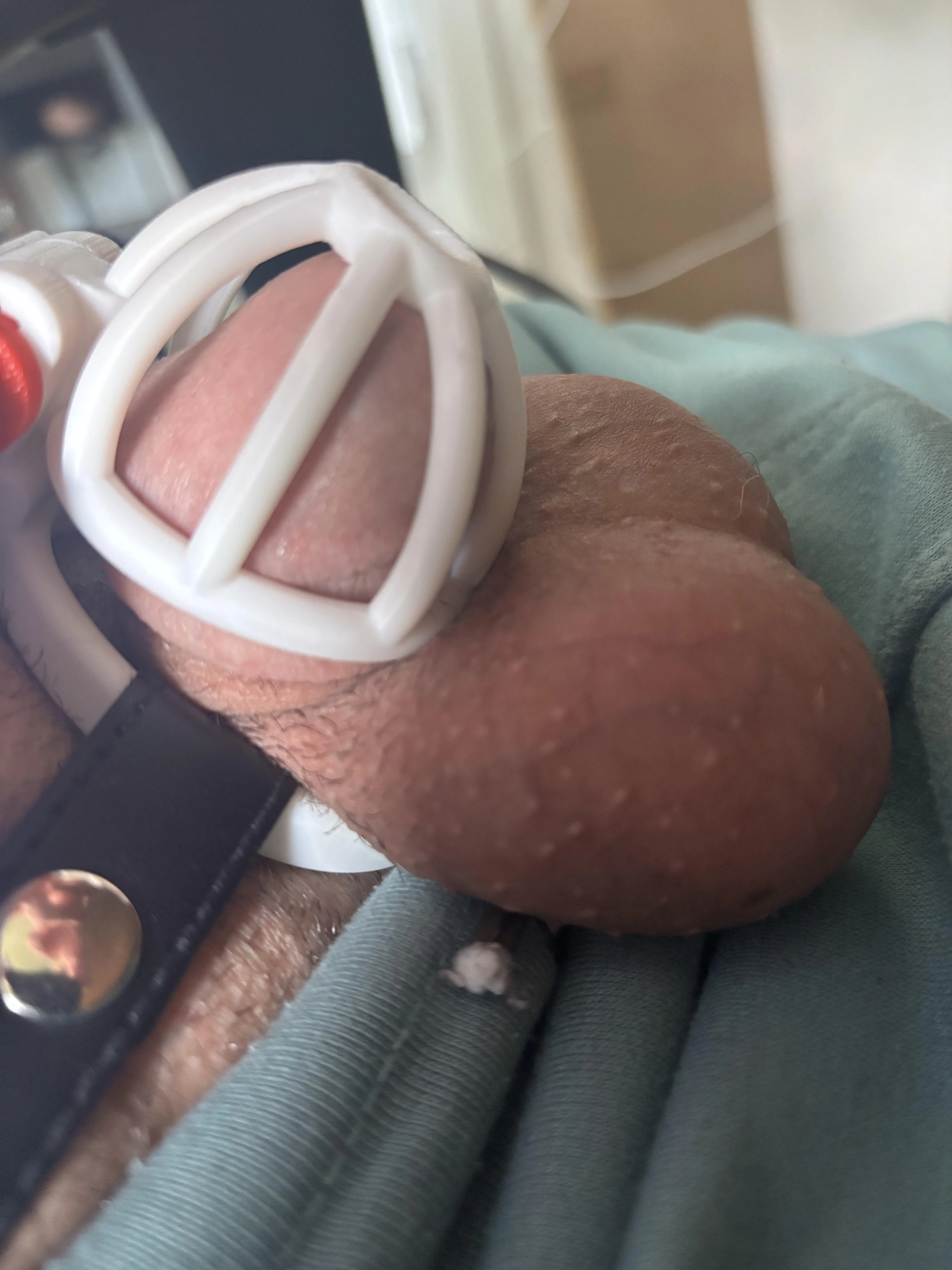 Denke der Cage ist zu groß