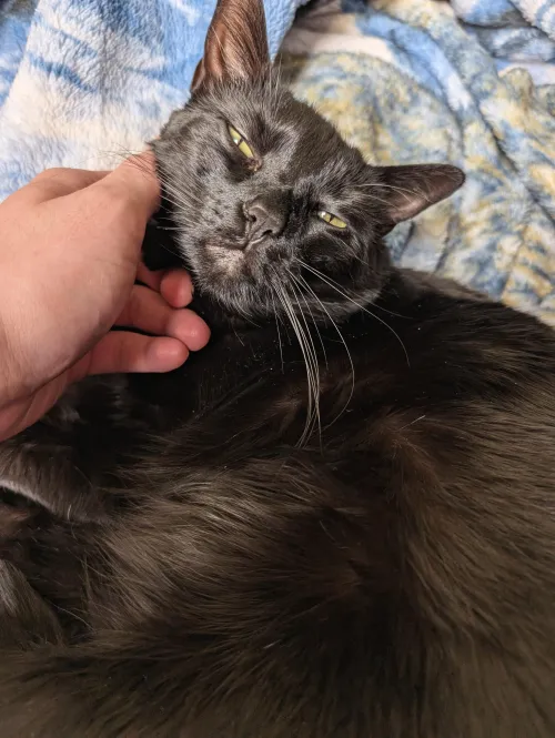 Look at her!! she's so sweet 🥹 I love her lil face