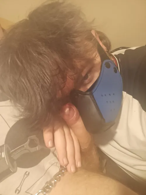 pablito's bone 🦴😋