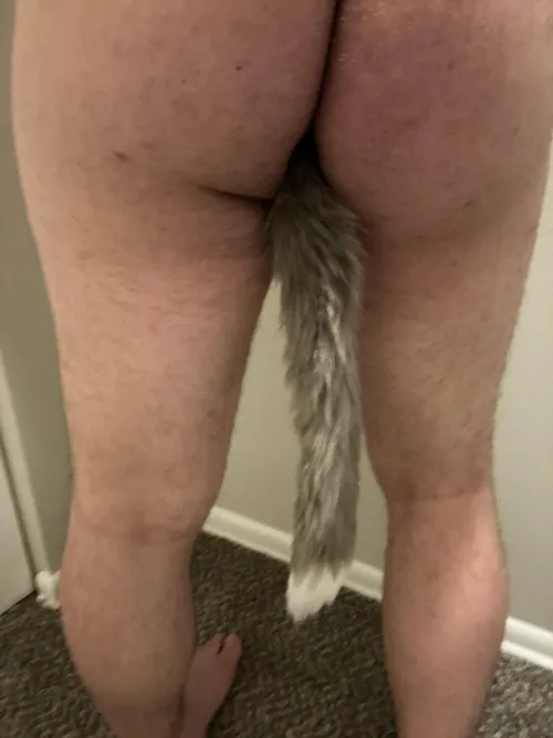 First post and first tail. It likes to wag on its own ;)
