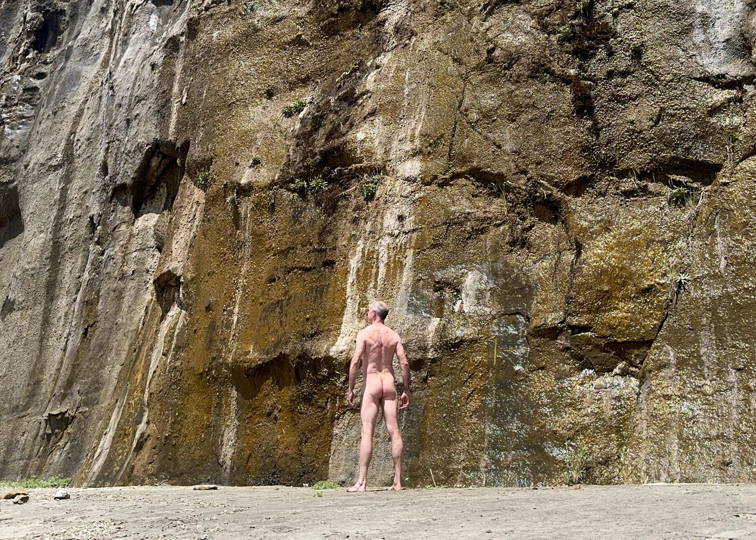 Scale