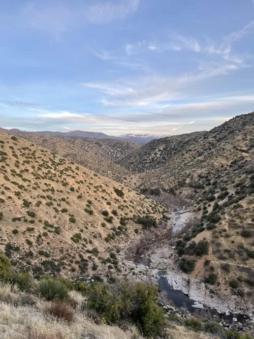 Coming back June 21st! Can’t wait