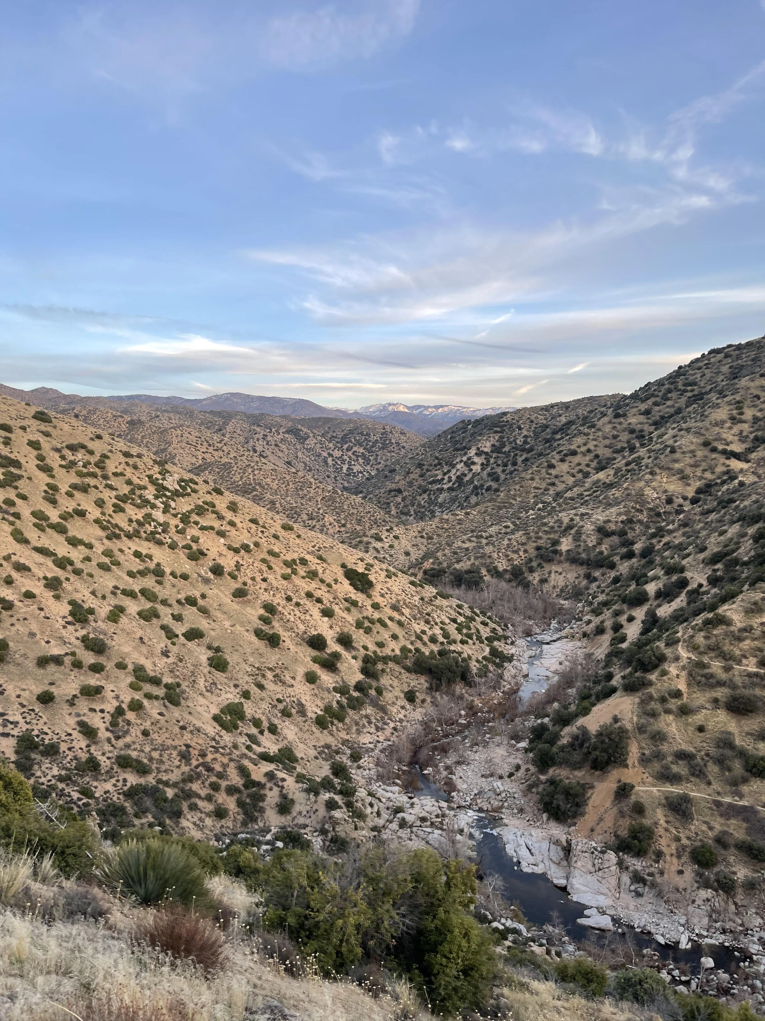 Coming back June 21st! Can’t wait