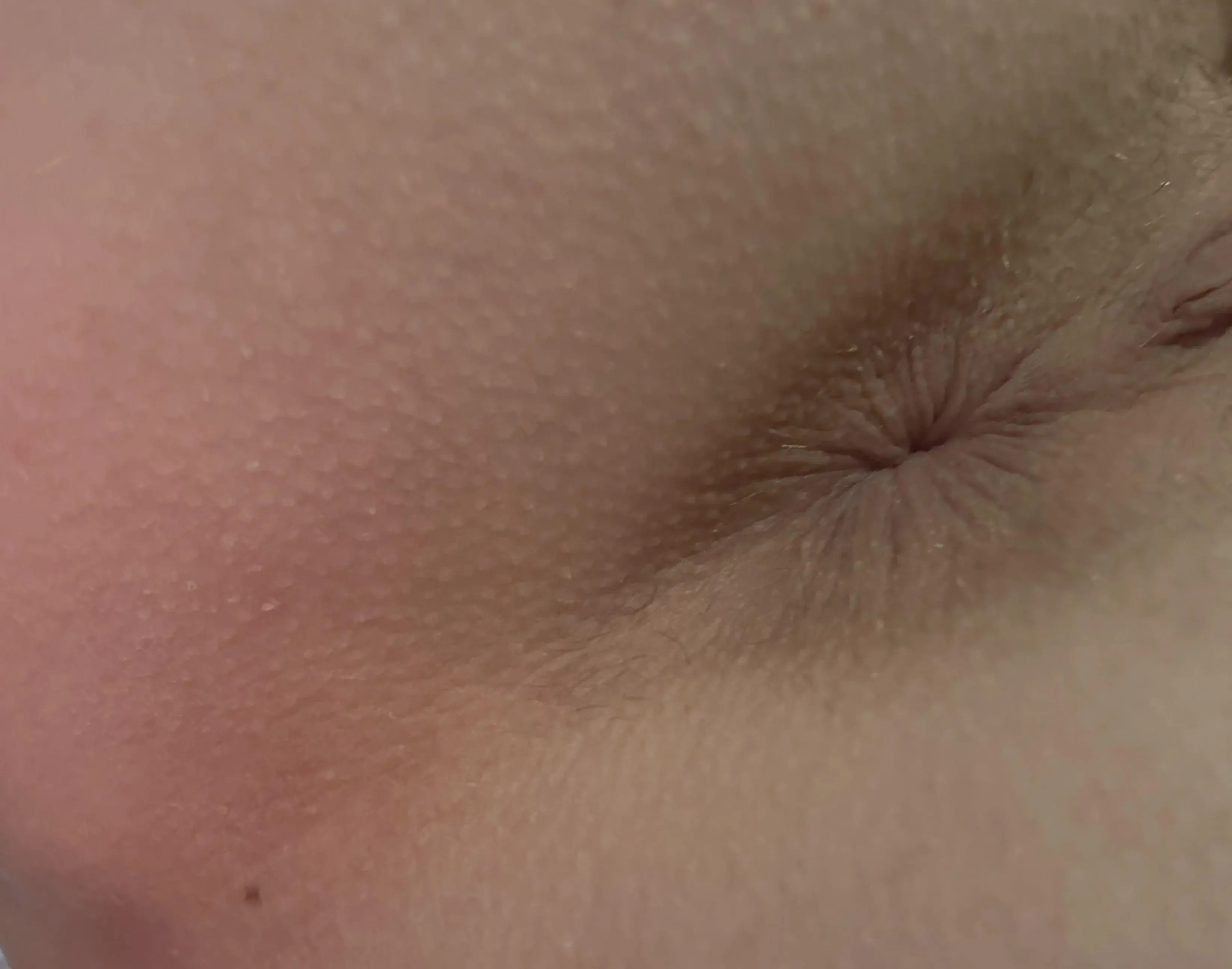 come and get this sexy asshole