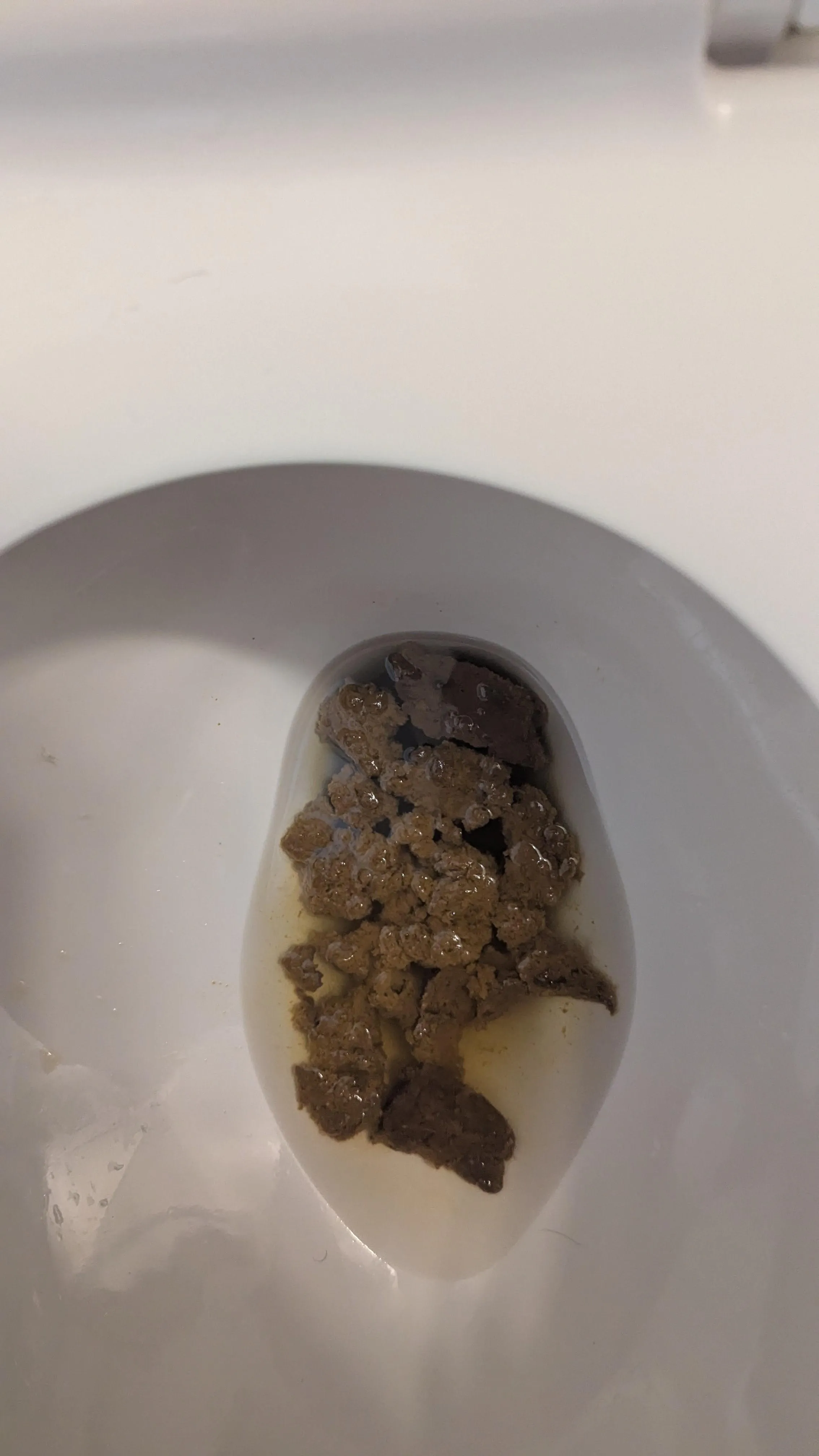 Had to do another urgent poop