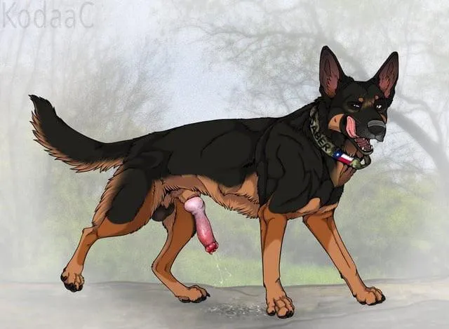 Wish I Could Give My Hole To A Good Boy Like This Haven’t Had The Pleasure