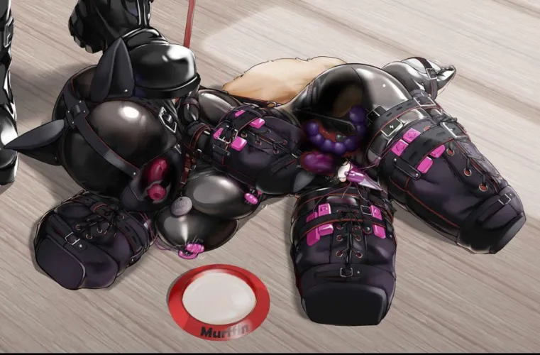 Good Pets get all of their holes filled with vibrating toys