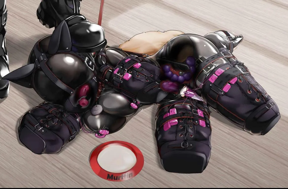 Good Pets get all of their holes filled with vibrating toys