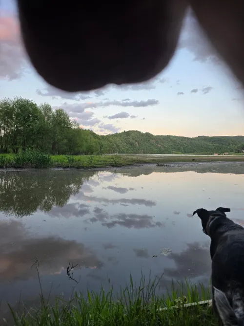 Mountains, cool dog, and nuts