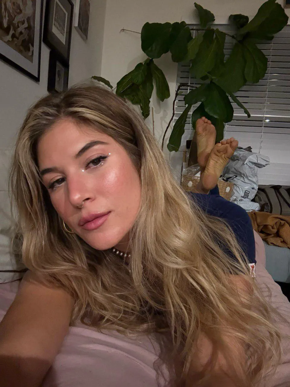 Beta boys make great pets.