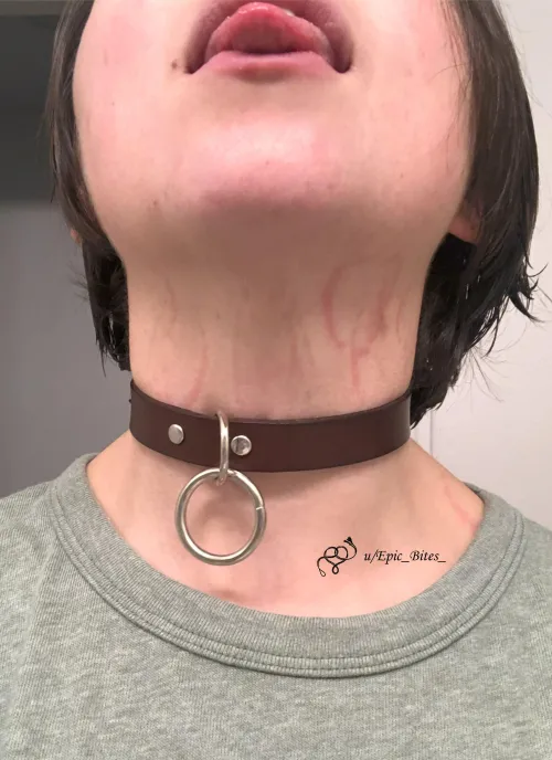 Make me your chew toy