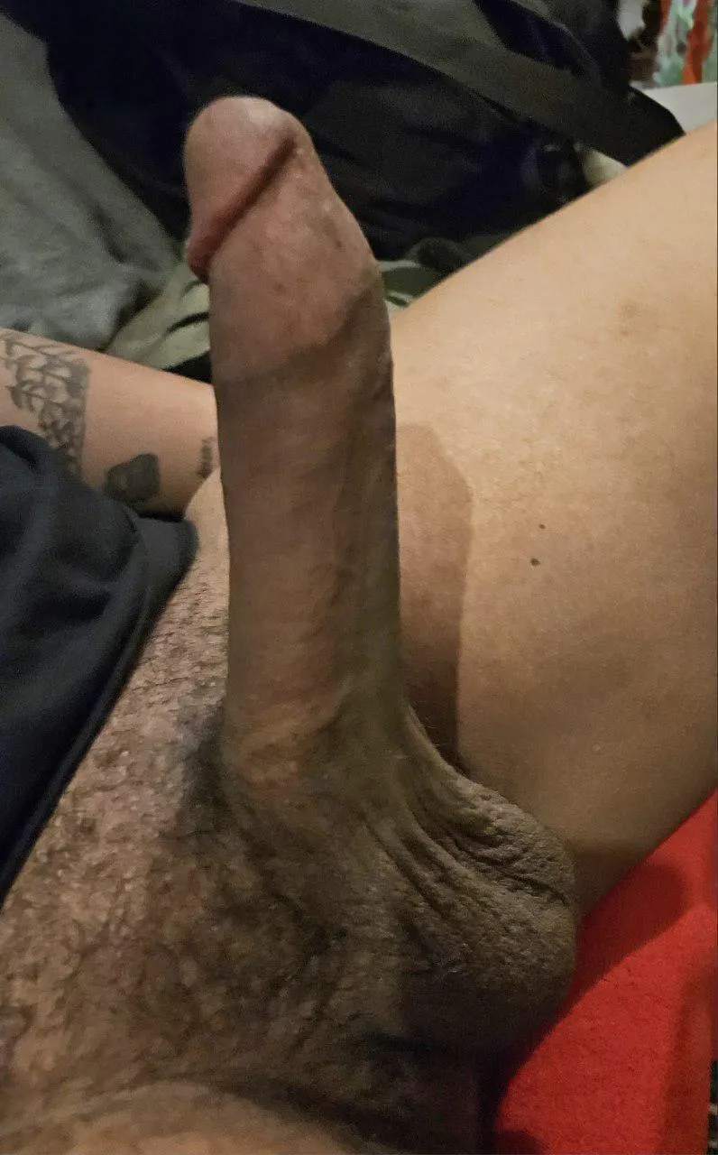 Got told to post here, was it vaild?